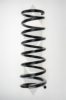 SPIDAN 56762 Coil Spring